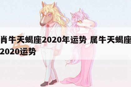 生肖牛天蝎座2020年运势 属牛天蝎座女生2020运势