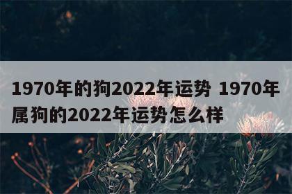 1970年的狗2022年运势 1970年属狗的2022年运势怎么样