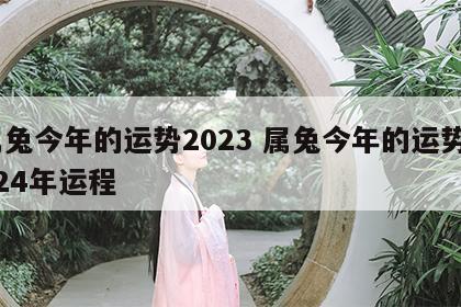 属兔今年的运势2023 属兔今年的运势2024年运程