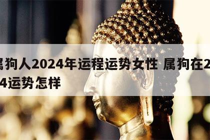 属狗人2024年运程运势女性 属狗在2024运势怎样