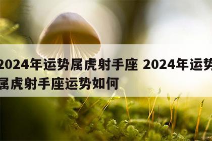 2024年运势属虎射手座 2024年运势属虎射手座运势如何