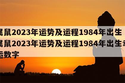 属鼠2023年运势及运程1984年出生 属鼠2023年运势及运程1984年出生幸运数字