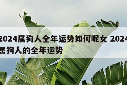 2024属狗人全年运势如何呢女 2024属狗人的全年运势