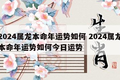 2024属龙本命年运势如何 2024属龙本命年运势如何今日运势