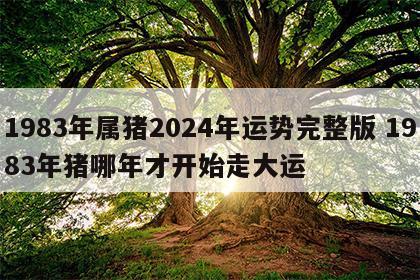 1983年属猪2024年运势完整版 1983年猪哪年才开始走大运