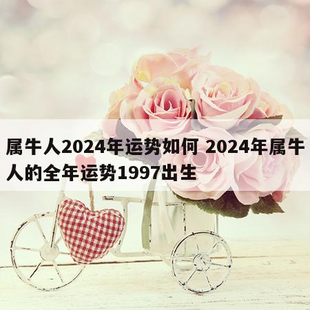 属牛人2024年运势如何 2024年属牛人的全年运势1997出生