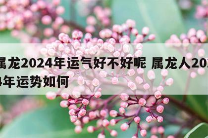 属龙2024年运气好不好呢 属龙人2024年运势如何
