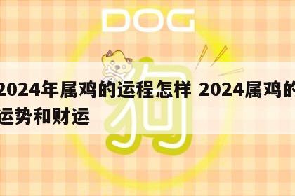 2024年属鸡的运程怎样 2024属鸡的运势和财运