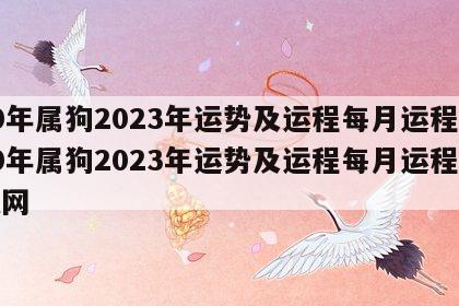 70年属狗2023年运势及运程每月运程 70年属狗2023年运势及运程每月运程搜狐网