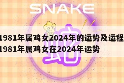 1981年属鸡女2024年的运势及运程 1981年属鸡女在2024年运势