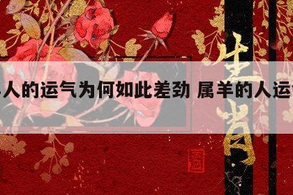 属羊人的运气为何如此差劲 属羊的人运气好吗