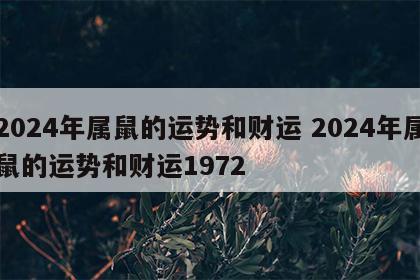 2024年属鼠的运势和财运 2024年属鼠的运势和财运1972