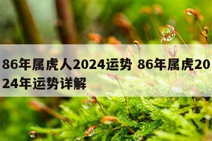 86年属虎人2024运势 86年属虎2024年运势详解
