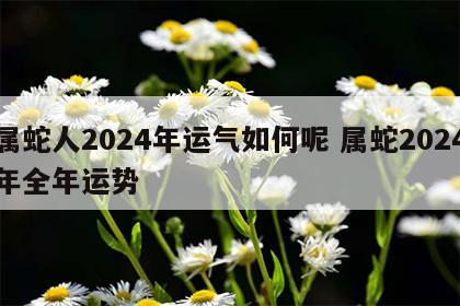 属蛇人2024年运气如何呢 属蛇2024年全年运势
