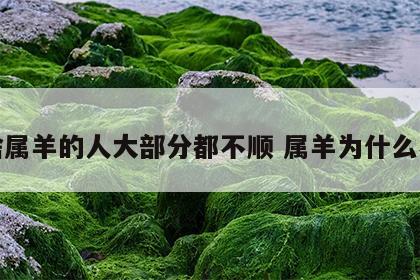 为啥属羊的人大部分都不顺 属羊为什么不顺