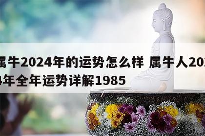 属牛2024年的运势怎么样 属牛人2024年全年运势详解1985