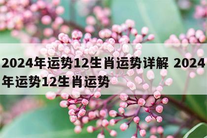 2024年运势12生肖运势详解 2024年运势12生肖运势