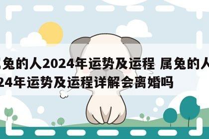 属兔的人2024年运势及运程 属兔的人2024年运势及运程详解会离婚吗
