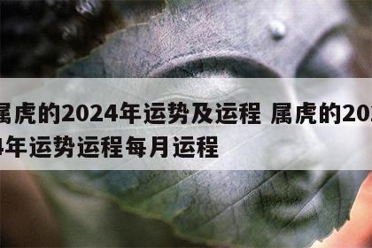 属虎的2024年运势及运程 属虎的2024年运势运程每月运程
