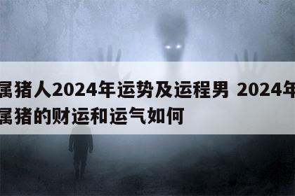 属猪人2024年运势及运程男 2024年属猪的财运和运气如何