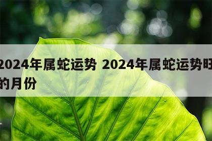 2024年属蛇运势 2024年属蛇运势旺的月份