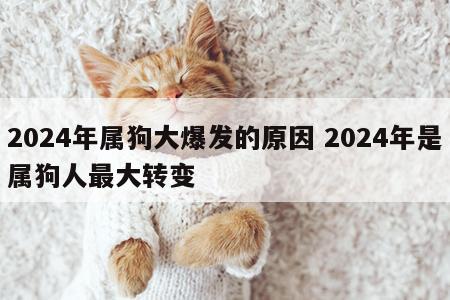 2024年属狗大爆发的原因 2024年是属狗人最大转变