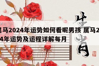 属马2024年运势如何看呢男孩 属马2024年运势及运程详解每月