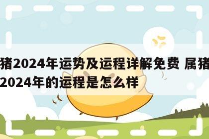 属猪2024年运势及运程详解免费 属猪的在2024年的运程是怎么样