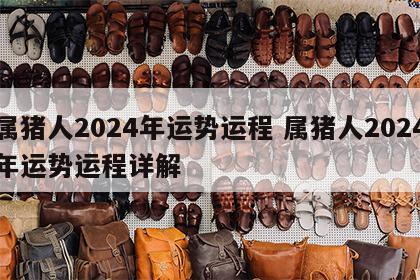 属猪人2024年运势运程 属猪人2024年运势运程详解