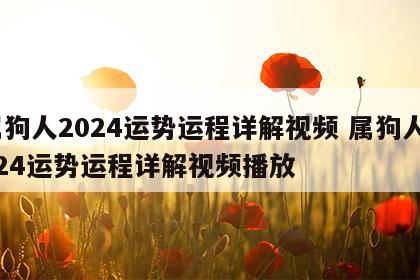 属狗人2024运势运程详解视频 属狗人2024运势运程详解视频播放