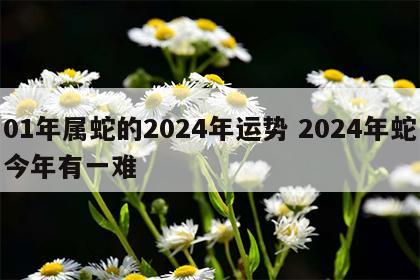 01年属蛇的2024年运势 2024年蛇今年有一难