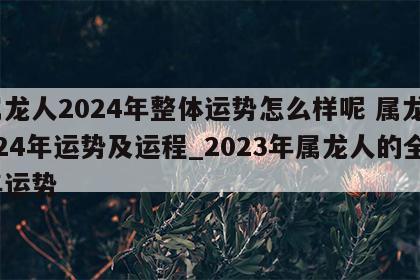 属龙人2024年整体运势怎么样呢 属龙2024年运势及运程_2023年属龙人的全年运势