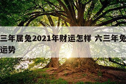 六三年属兔2021年财运怎样 六三年兔今年运势
