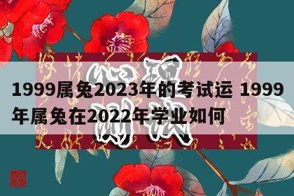1999属兔2023年的考试运 1999年属兔在2022年学业如何