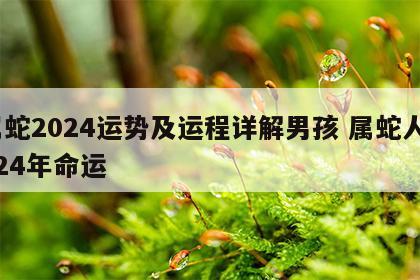 属蛇2024运势及运程详解男孩 属蛇人2024年命运