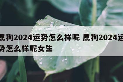 属狗2024运势怎么样呢 属狗2024运势怎么样呢女生