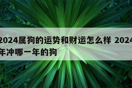 2024属狗的运势和财运怎么样 2024年冲哪一年的狗