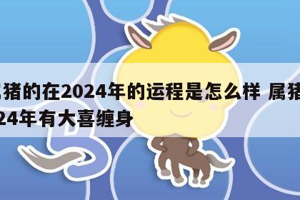 属猪的在2024年的运程是怎么样 属猪2024年有大喜缠身