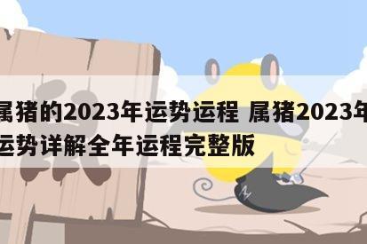 属猪的2023年运势运程 属猪2023年运势详解全年运程完整版