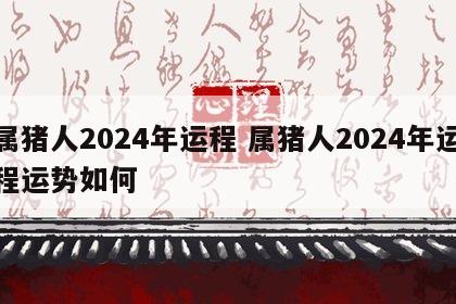 属猪人2024年运程 属猪人2024年运程运势如何