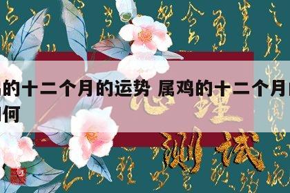 属鸡的十二个月的运势 属鸡的十二个月的运势如何
