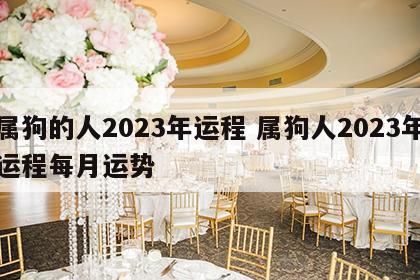 属狗的人2023年运程 属狗人2023年运程每月运势