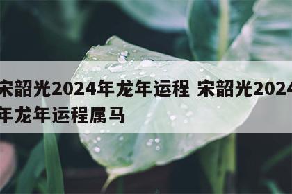 宋韶光2024年龙年运程 宋韶光2024年龙年运程属马