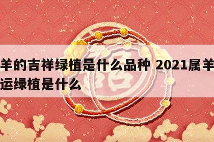 属羊的吉祥绿植是什么品种 2021属羊的幸运绿植是什么
