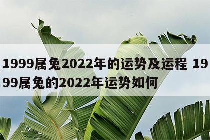 1999属兔2022年的运势及运程 1999属兔的2022年运势如何