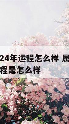 属猪人2024年运程怎么样 属猪的在2024年的运程是怎么样