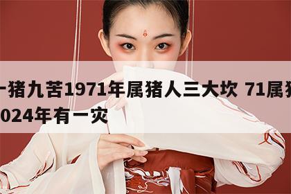 十猪九苦1971年属猪人三大坎 71属猪2024年有一灾