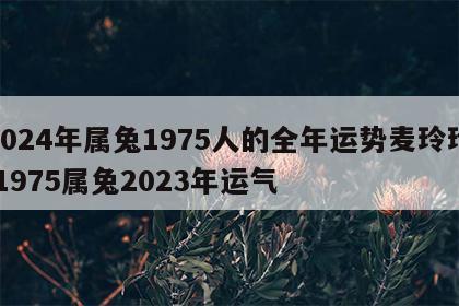 2024年属兔1975人的全年运势麦玲玲 1975属兔2023年运气