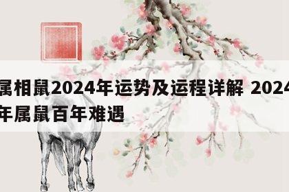 属相鼠2024年运势及运程详解 2024年属鼠百年难遇