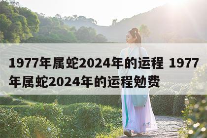 1977年属蛇2024年的运程 1977年属蛇2024年的运程勉费